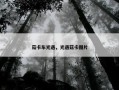 菇卡车光遇，光遇菇卡图片