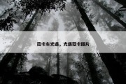 菇卡车光遇，光遇菇卡图片
