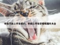 丰田汽车二手车报价，丰田二手车价格和图片大全