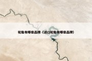 轮胎有哪些品牌（进口轮胎有哪些品牌）
