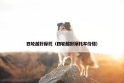 四轮越野摩托（四轮越野摩托车价格）