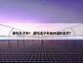摩托太子车？ 摩托太子车有内涵的名字？
