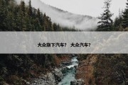 大众旗下汽车？ 大众汽车？