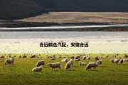 合远精选汽配，安徽合远