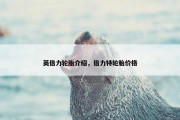 英倍力轮胎介绍，倍力特轮胎价格
