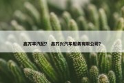 鑫万丰汽配？ 鑫万兴汽车服务有限公司？