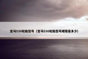 宝马530轮胎型号（宝马530轮胎型号规格是多少）