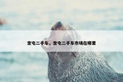 奎屯二手车，奎屯二手车市场在哪里