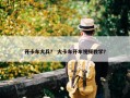 开卡车大兵？ 大卡车开车视频教学？