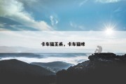 卡车猫王丢，卡车猫咪