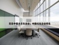 走出中国大卡车企业，中国卡车企业排名
