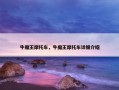 牛魔王摩托车，牛魔王摩托车详细介绍