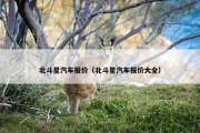 北斗星汽车报价（北斗星汽车报价大全）