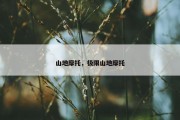 山地摩托，极限山地摩托