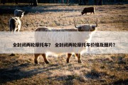 全封闭两轮摩托车？ 全封闭两轮摩托车价格及图片？