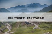 定边二手车交易市场？ 定边二手车出售信息？