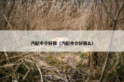 汽配中介好做（汽配中介好做么）