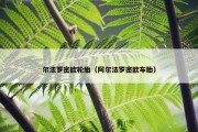 尔法罗密欧轮胎（阿尔法罗密欧车胎）