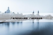 广本汽配车起火原因，广本配件供应商