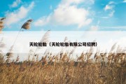 天轮轮胎（天轮轮胎有限公司招聘）