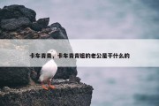 卡车青青，卡车青青姐的老公是干什么的