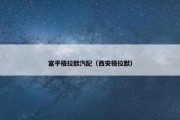 富平格拉默汽配（西安格拉默）