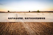 电动汽车自动驾驶，电动汽车自动驾驶哪家强