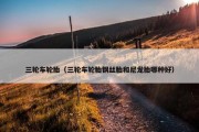 三轮车轮胎（三轮车轮胎钢丝胎和尼龙胎哪种好）