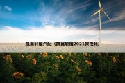 凯翼轩度汽配（凯翼轩度2021款视频）