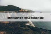 春风300摩托车报价（春风摩托价格图片参数）