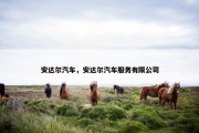 安达尔汽车，安达尔汽车服务有限公司