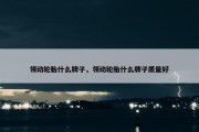 领动轮胎什么牌子，领动轮胎什么牌子质量好