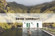正新t轮胎（正新轮胎tpi27）