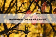 静音效果好轮胎（静音效果好又经济的轮胎）