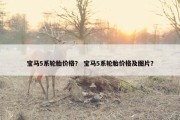宝马5系轮胎价格？ 宝马5系轮胎价格及图片？