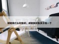 威驰换什么轮胎好，威驰换轮胎多少钱一个