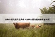 三头六臂汽配产品贵吗（三头六臂汽配的前景怎么样）