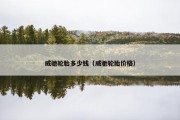 威驰轮胎多少钱（威驰轮胎价格）