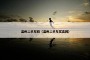温州二手车网（温州二手车买卖网）