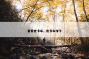 看看皮卡车，皮卡车样子