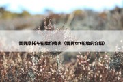 晋勇摩托车轮胎价格表（晋勇tnt轮胎的介绍）
