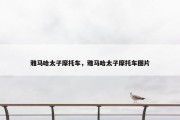雅马哈太子摩托车，雅马哈太子摩托车图片