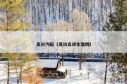 高川汽配（高川自动化官网）