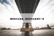 摩托车什么生肖，摩托车什么生肖打一肖