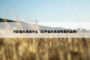 汽配猫头鹰指什么（配件猫头鹰是哪里的品牌）