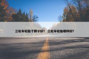 三轮车轮胎个牌子好？ 三轮车轮胎哪种好？