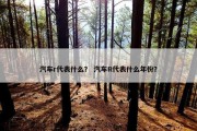 汽车r代表什么？ 汽车R代表什么年份？