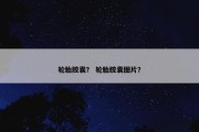 轮胎胶囊？ 轮胎胶囊图片？