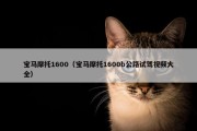 宝马摩托1600（宝马摩托1600b公路试驾视频大全）