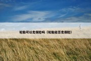 轮胎可以走保险吗（轮胎能否走保险）